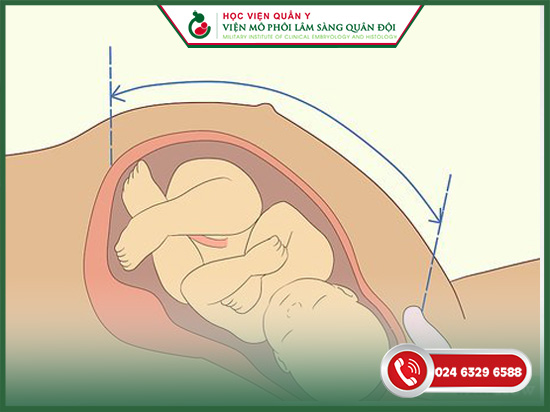 cách tính tuổi thai ivf phôi ngày 5