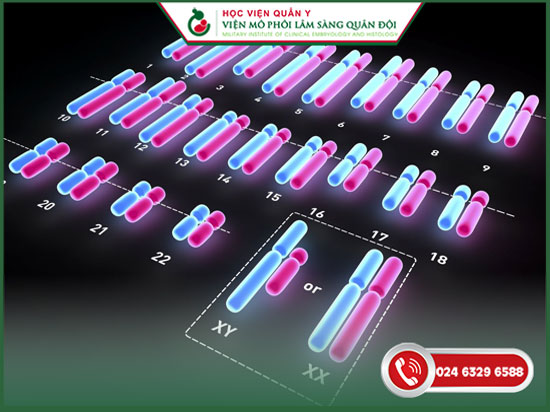 xét nghiệm karyotype là gì