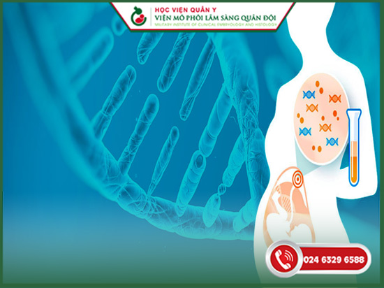 kết quả xét nghiệm nipt có chính xác không