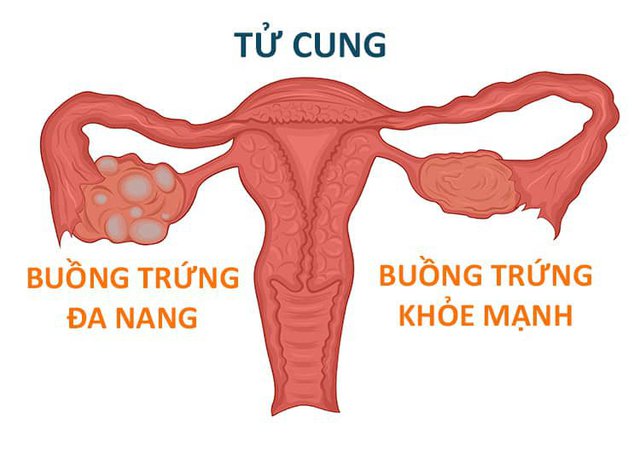 buongtrungdanang 16424383509791805295720