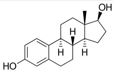 Ảnh chụp Màn hình 2023 04 19 lúc 15.18.07