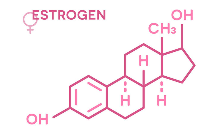 estrogen 750