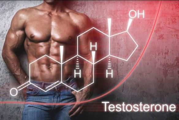 testosterone 16913759894061564303176