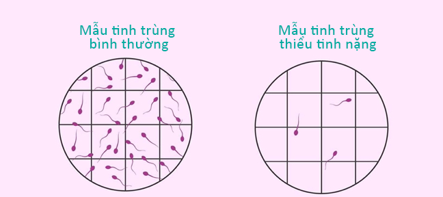 tinhtrung 2