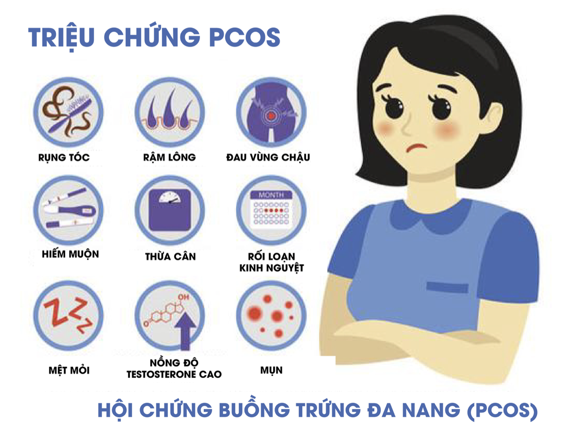 Anh chup Man hinh 2024 11 21 luc 14.50.46 Anh chup Man hinh 2024 11 21 luc 14.50.46
