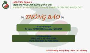 Anh chup Man hinh 2025 02 08 luc 07.39.32