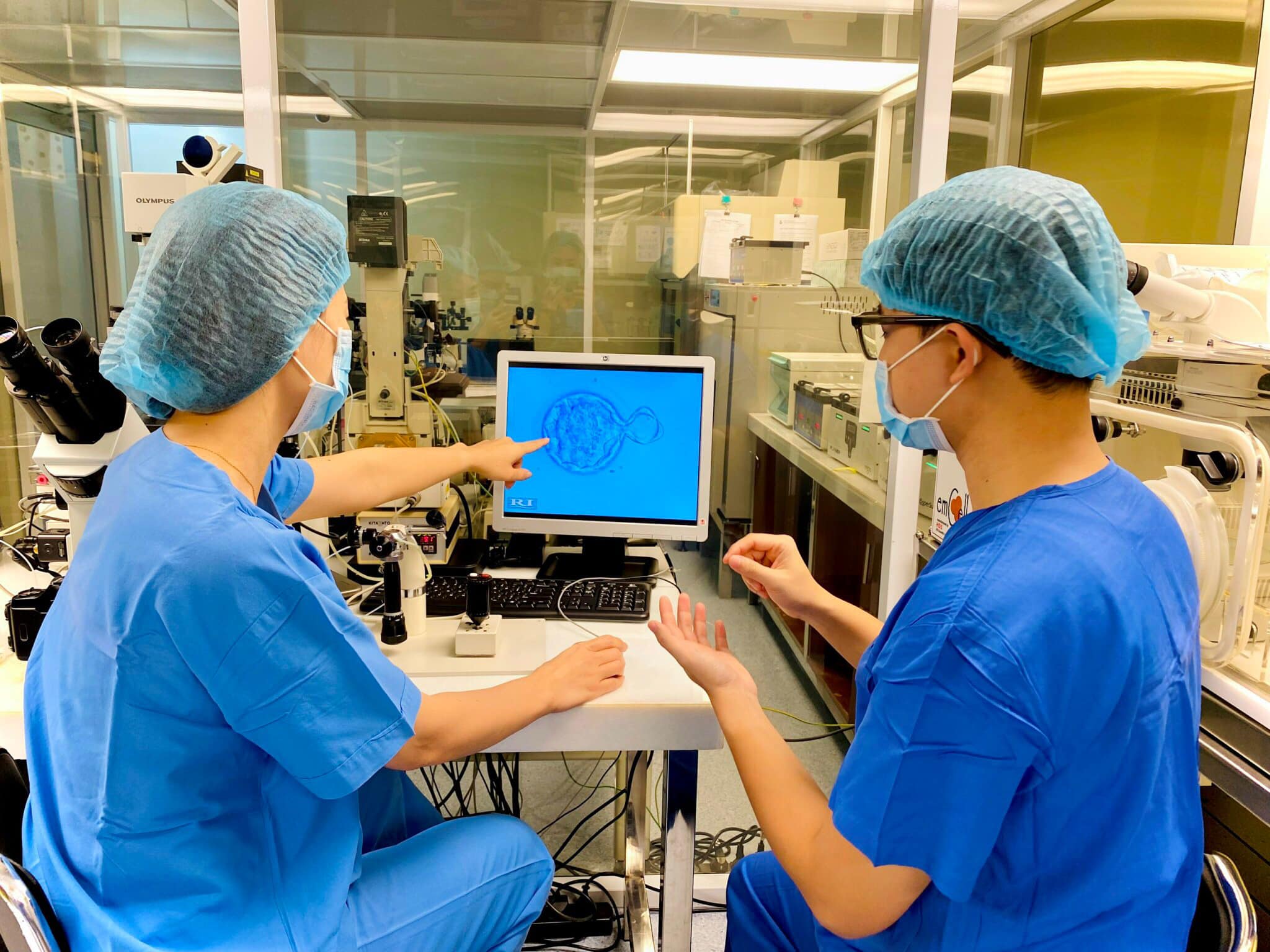 Hỗ trợ phôi thoát màng Hỗ trợ phôi thoát màng