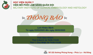 Ảnh chụp Màn hình 2025 03 01 lúc 08.12.03