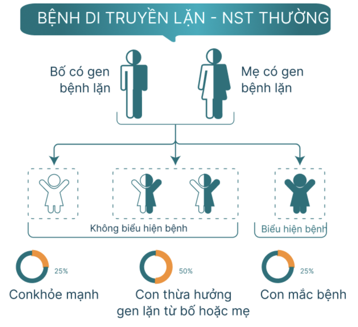 Ảnh chụp Màn hình 2025 03 06 lúc 14.38.25