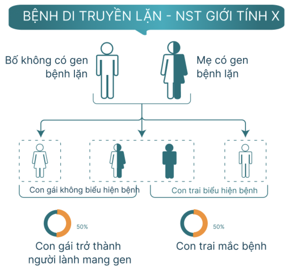 Ảnh chụp Màn hình 2025 03 06 lúc 14.38.35
