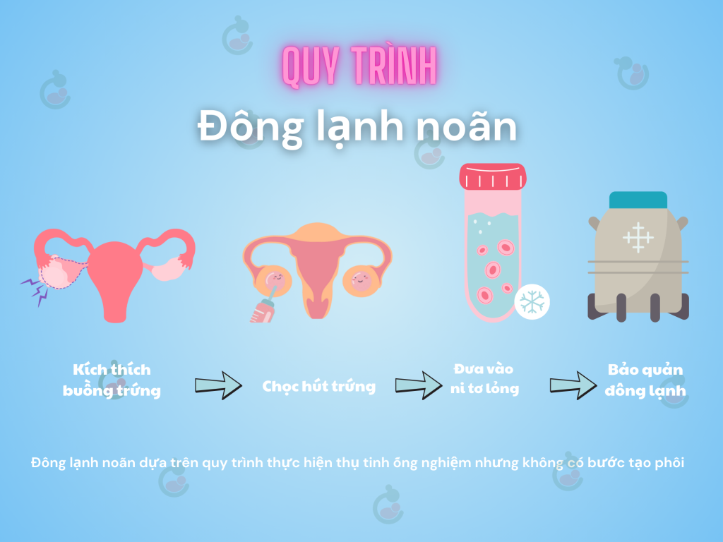 Quy trình đông lạnh noãn