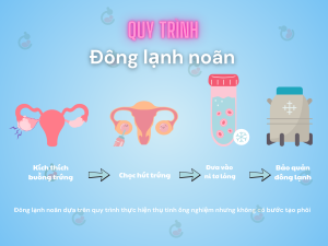 Quy trình đông lạnh noãn