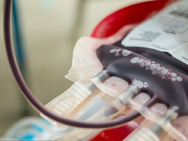thalassemia thalassemia