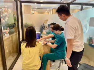 Thủ tục trước chuyển phôi