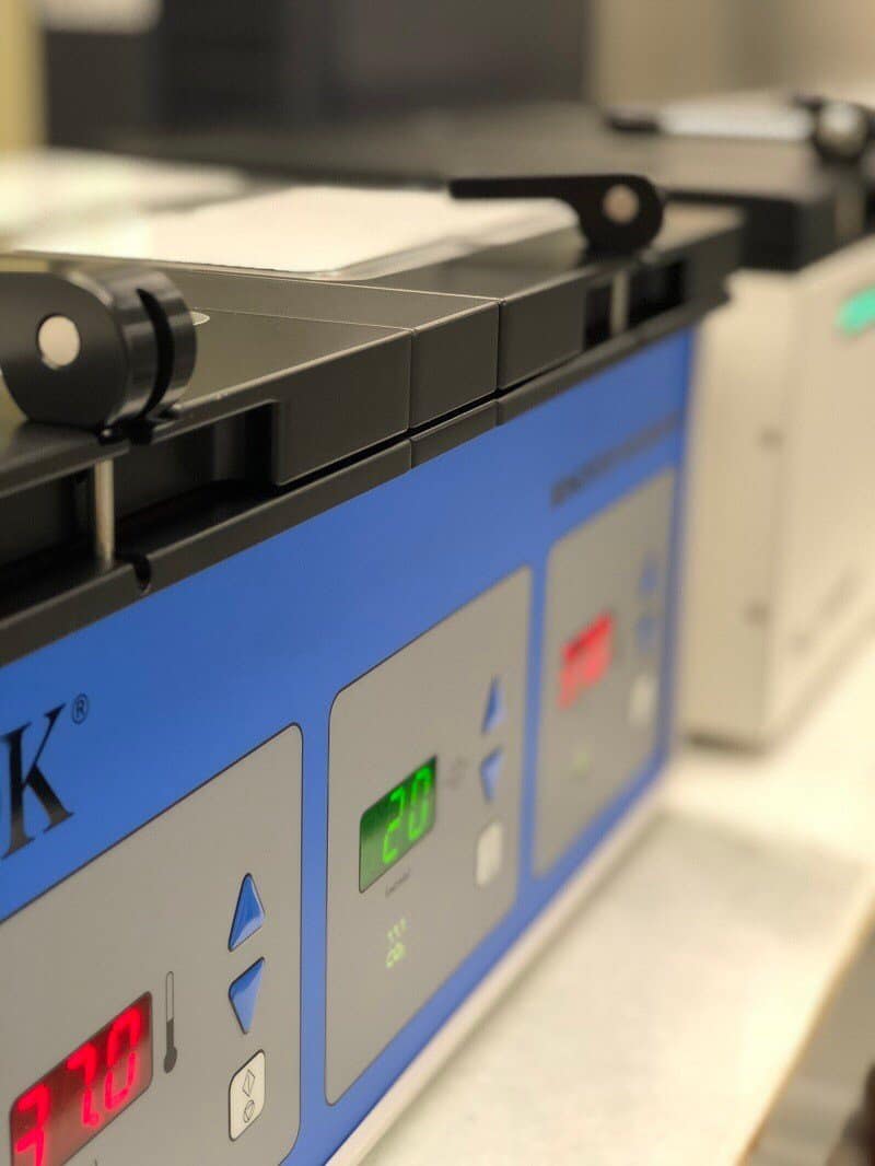 Lab Lab