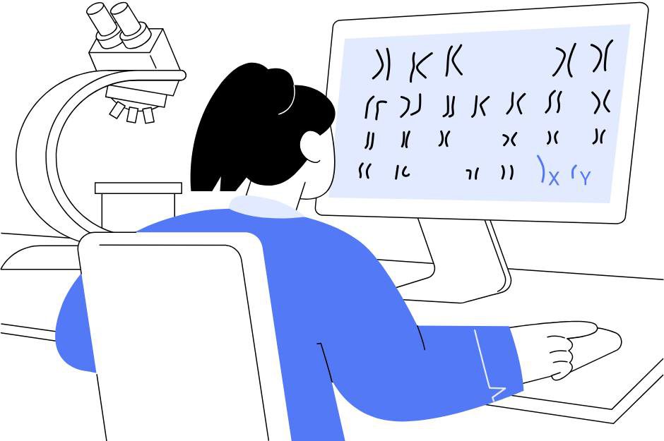 karyotype karyotype