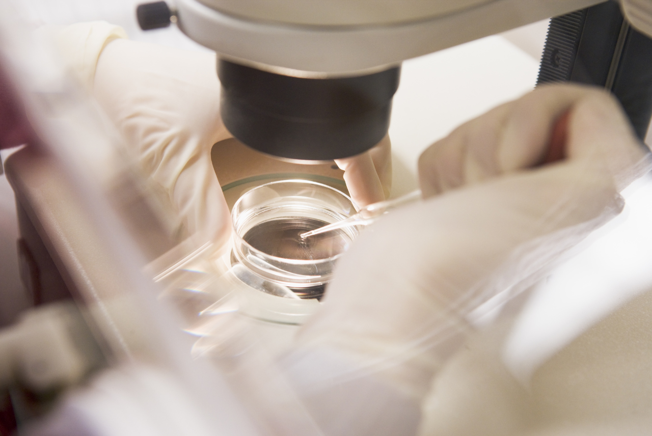 Labo IVF