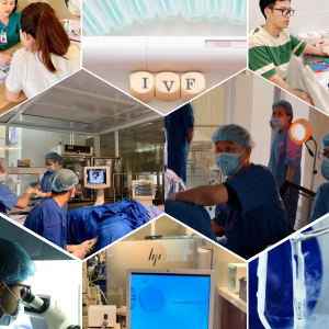 Quy trình IVF Viện Mô phôi