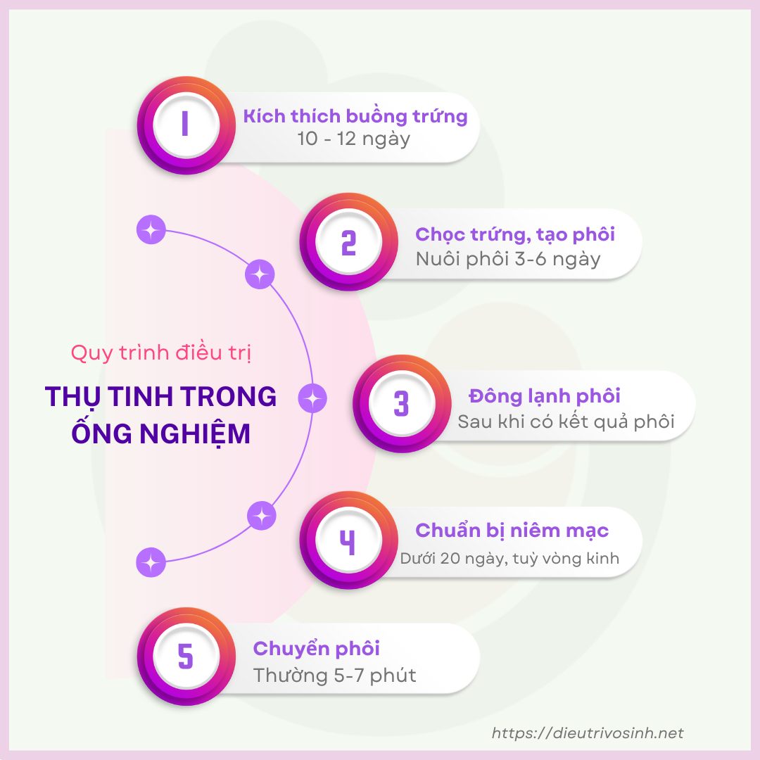 517583341 1276286060828915 1760055842312230613 n