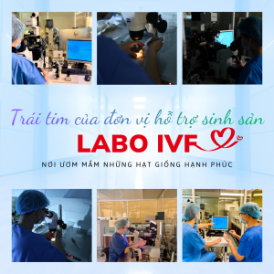 LAb IVF