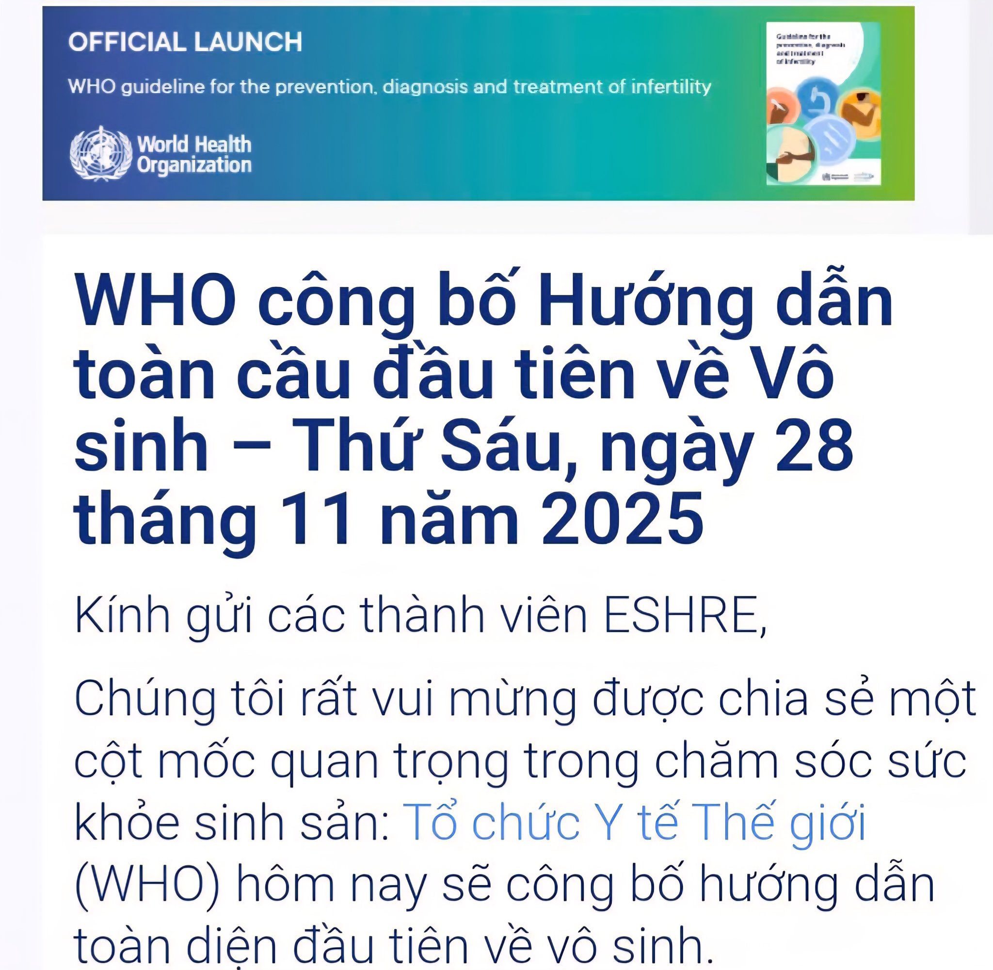 589782361 1938529553749432 4130584233818354319 n