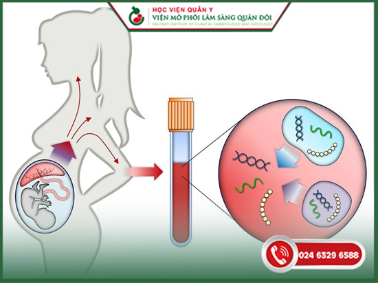 xét nghiệm nipt là gì