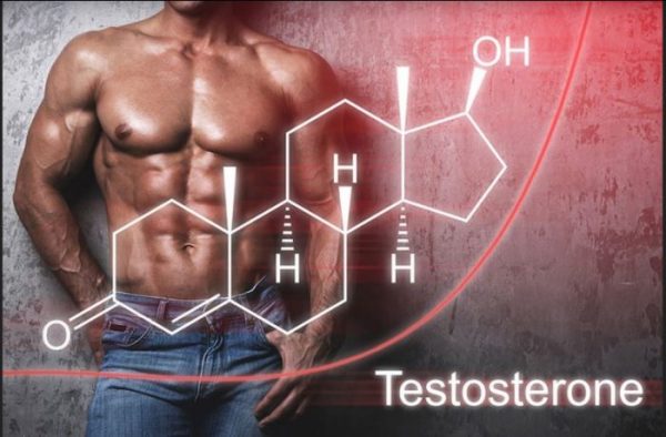 testosterone 16913759894061564303176