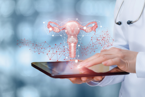 Mô phỏng tử cung