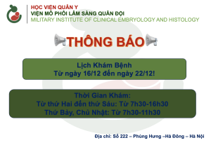 Anh chup Man hinh 2024 12 12 luc 16.05.48