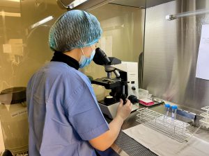 Lab