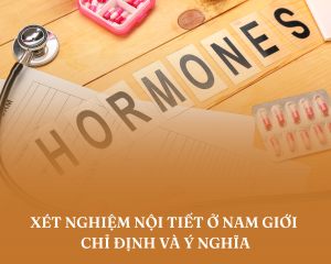 Nội tiết nam