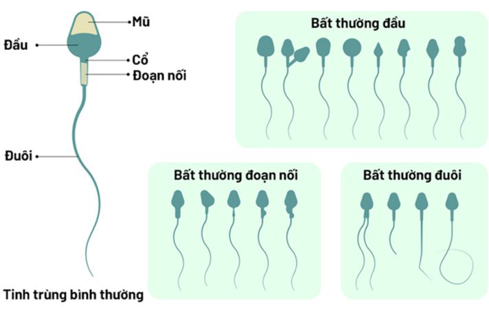 edit tinhtrungbatthuong 1656303048676372515496 2