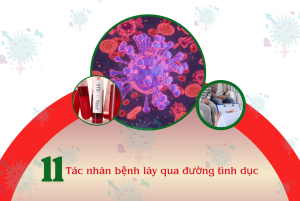 11 tác nhân bệnh lây truyền qua đường tình dục