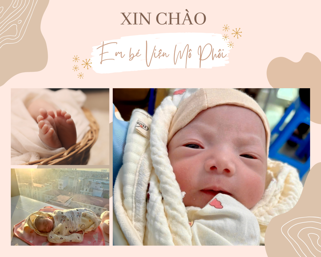 Phôi ngày 3 2.10.2025