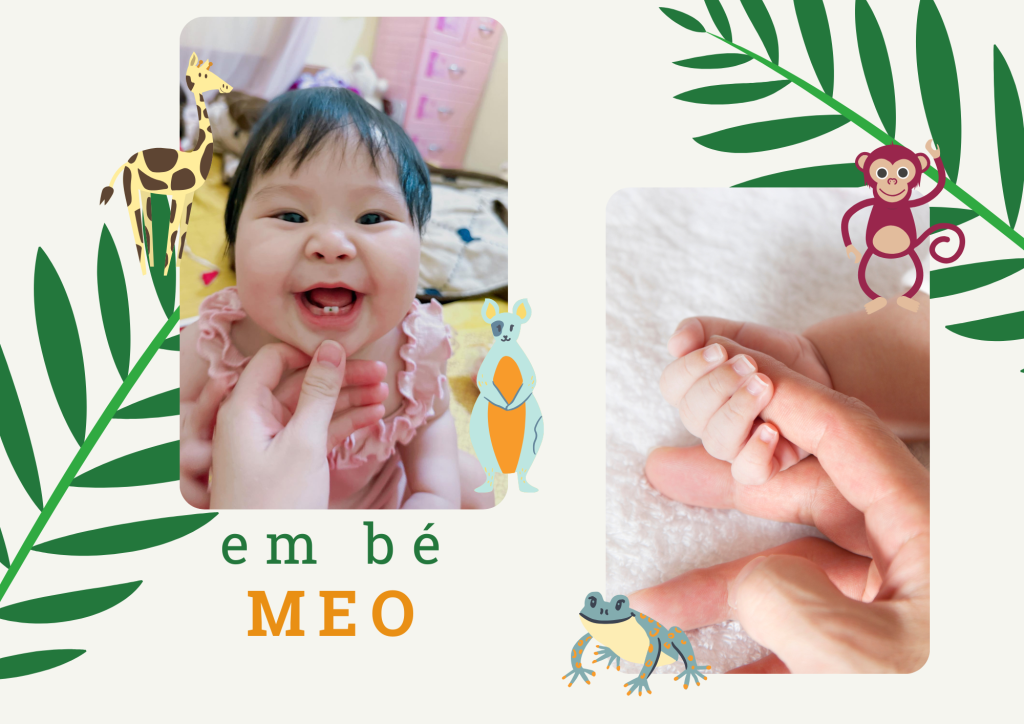 MEO